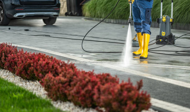 Best Solar Panel Cleaning  in Las Campanas, NM